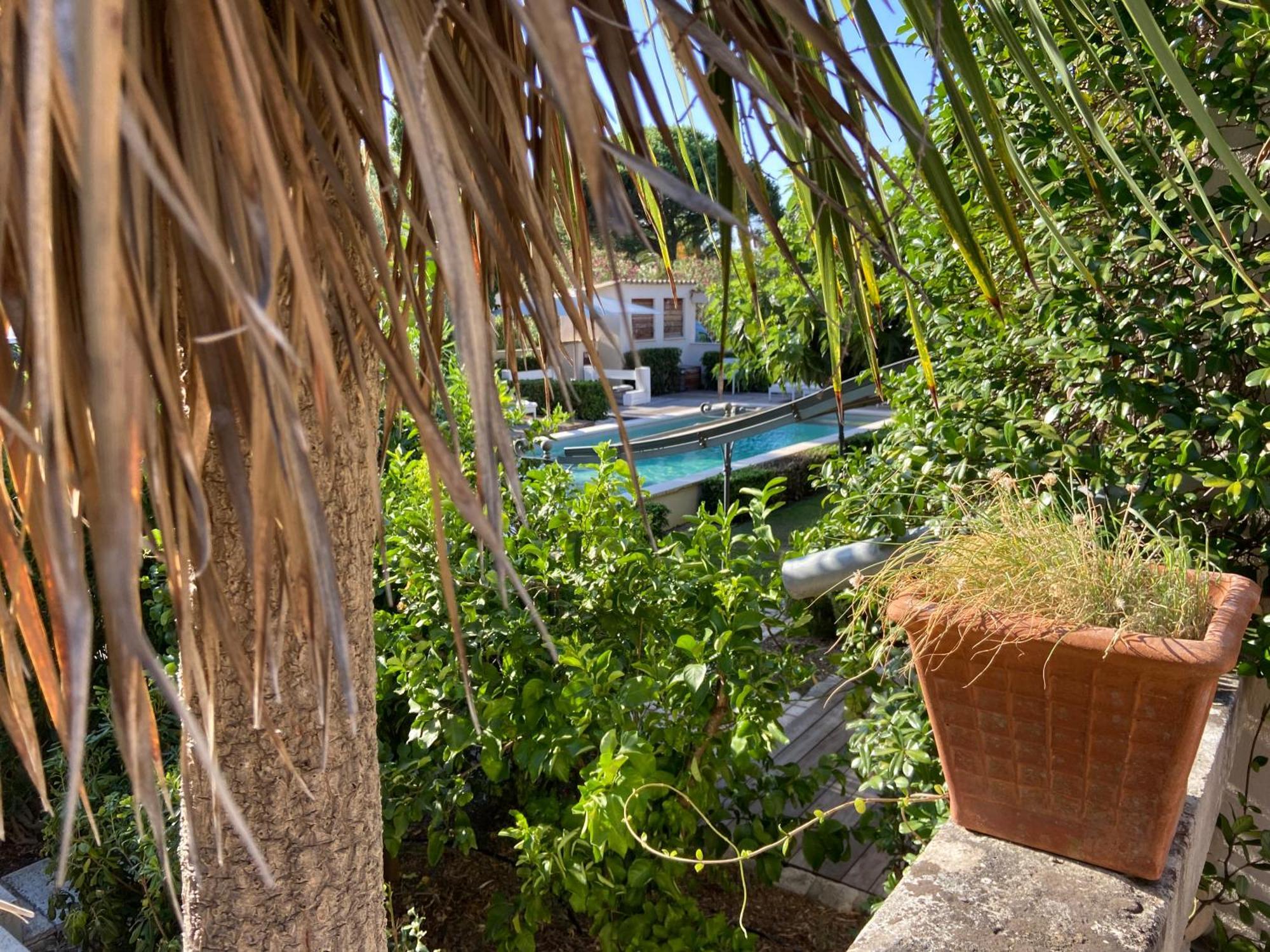Villa La Begude - Boutique Luxury B&B Saint-Tropez Eksteriør billede